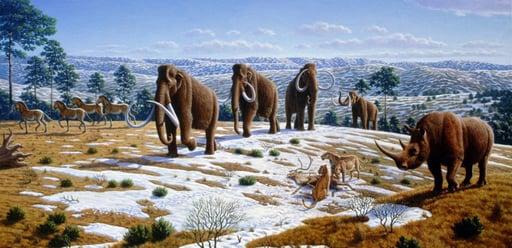 Pleistocene Epoch.