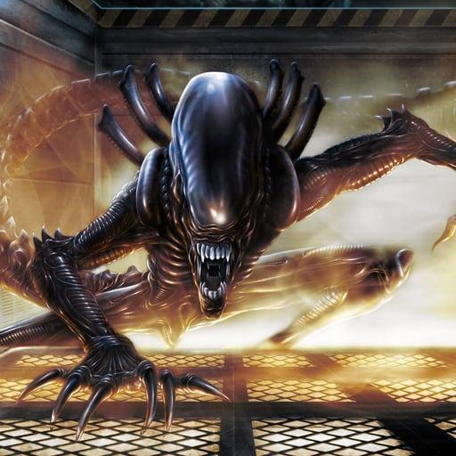 The Hive