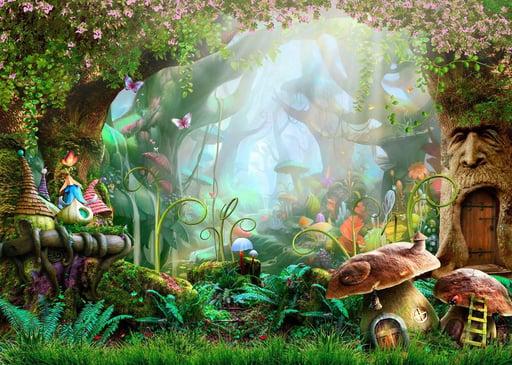 Wonderland 